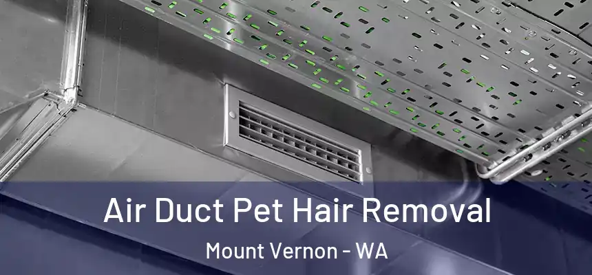 Air Duct Pet Hair Removal Mount Vernon - WA
