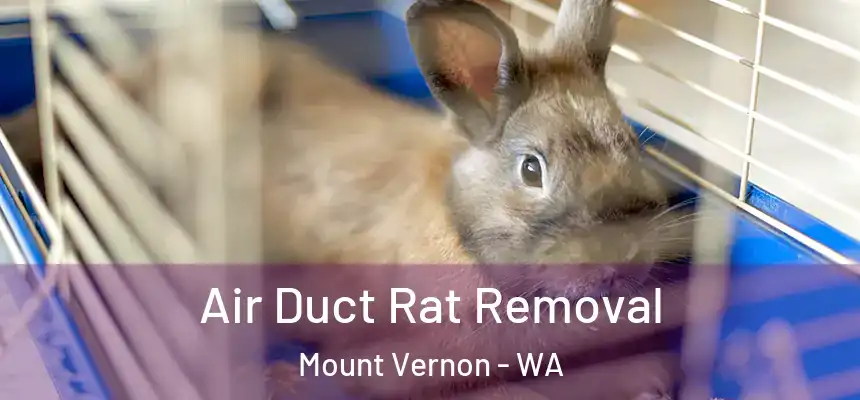  Air Duct Rat Removal Mount Vernon - WA
