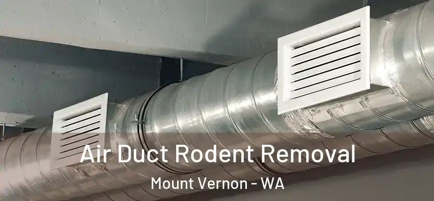  Air Duct Rodent Removal Mount Vernon - WA