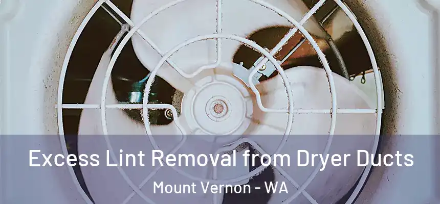  Excess Lint Removal from Dryer Ducts Mount Vernon - WA