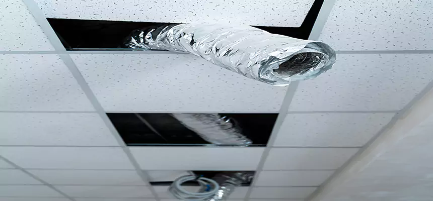 Our Air Duct Pet Hair Removal Services in Mount Vernon, WA