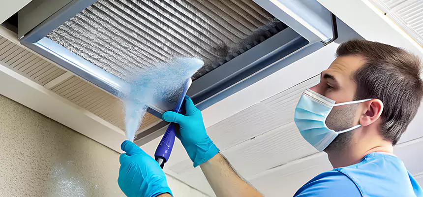 Proactive Dryer Vent & Auxiliary Duct Pollen Cleanup in Mount Vernon, WA