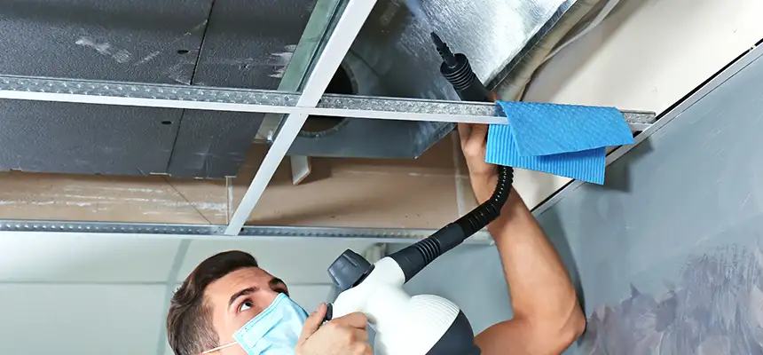 Our Air Duct Rodent Removal Services in Mount Vernon, WA