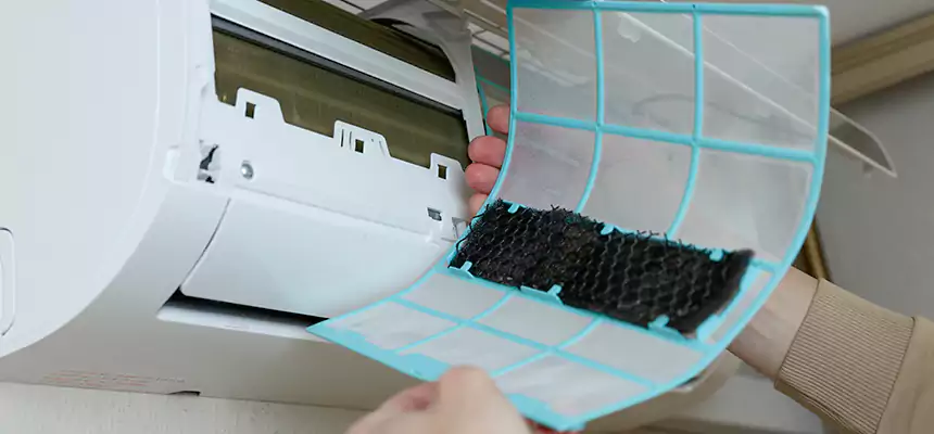 Gentle Ductwork Odor-Control Pet Dander Duct Cleaning in Mount Vernon, WA