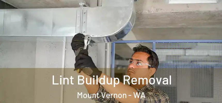  Lint Buildup Removal Mount Vernon - WA