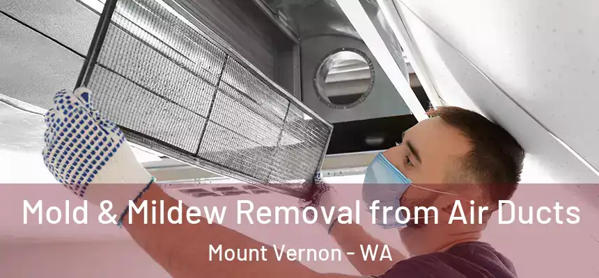 Mold & Mildew Removal from Air Ducts Mount Vernon - WA