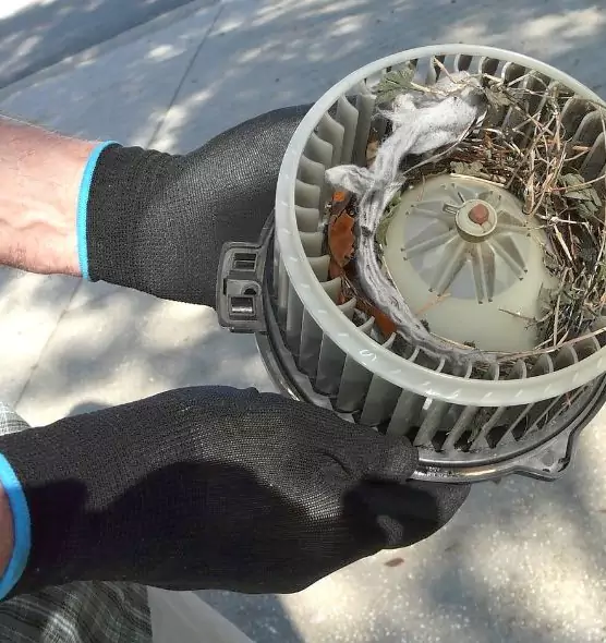 About Air Duct Rat Removal in Mount Vernon, WA