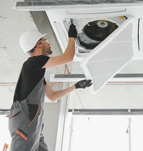 About Air Duct Rodent Removal in Mount Vernon, WA