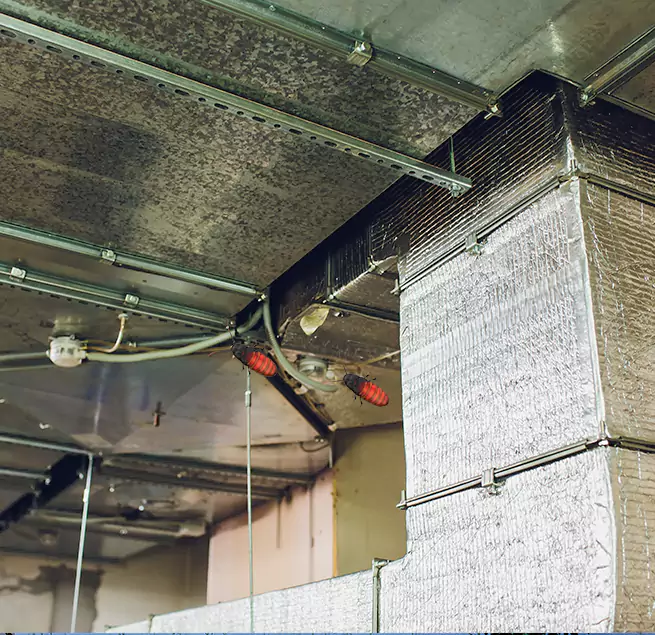 Why Homeowners & Businesses Trust Us in Mount Vernon, WA?