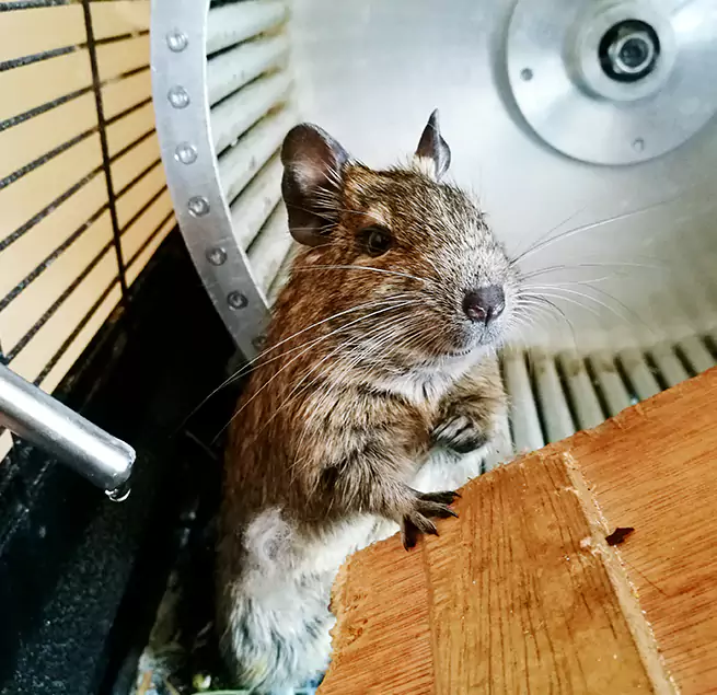 Why Homeowners & Businesses Trust Us Mount Vernon, WA