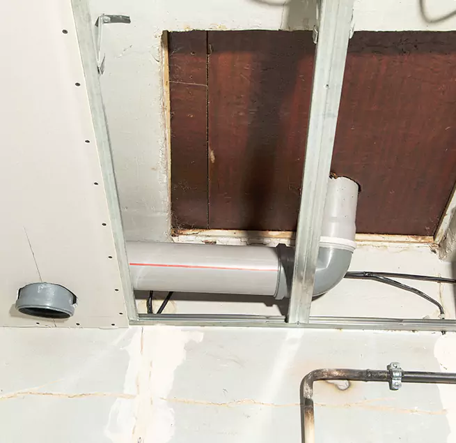 Why Homeowners & Businesses Trust Us in Mount Vernon, WA?