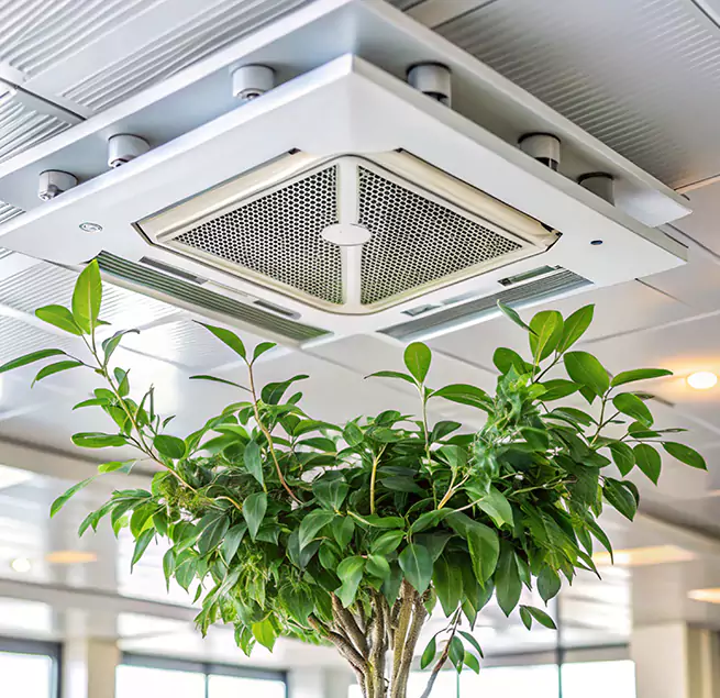 Why Homeowners & Businesses Trust Us in Mount Vernon, WA?