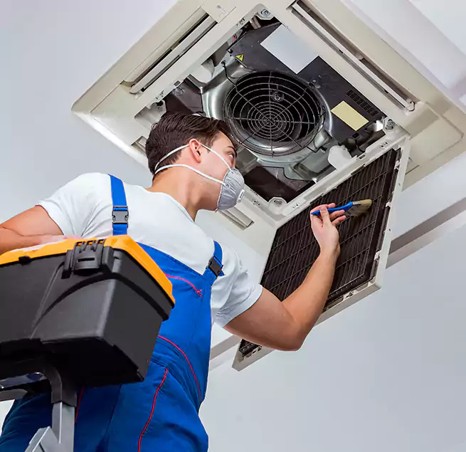 Why Homeowners & Businesses Trust Us in Mount Vernon, WA?